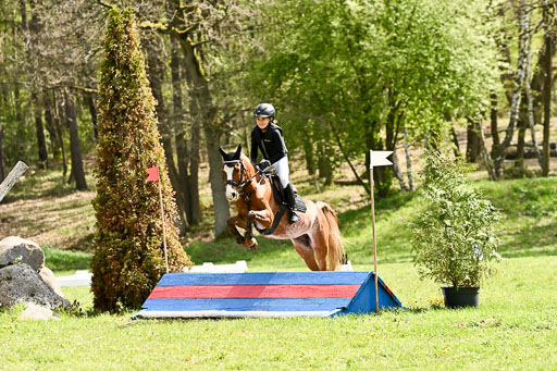  | 25042026 Geländereiter WB_175 