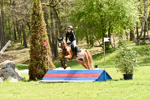  | 25042026 Geländereiter WB_176 