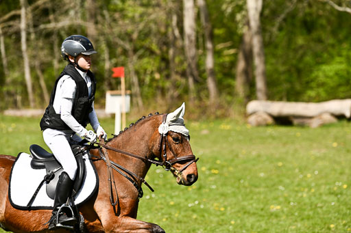  | 25042026 Geländereiter WB_211 