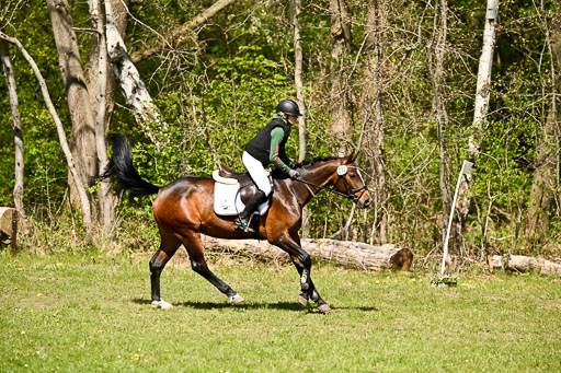  | 25042026 Geländereiter WB_222 