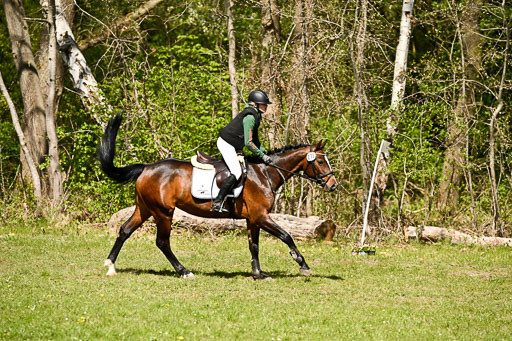  | 25042026 Geländereiter WB_223 