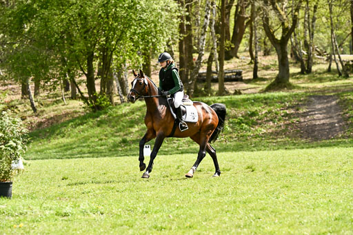  | 25042026 Geländereiter WB_230 
