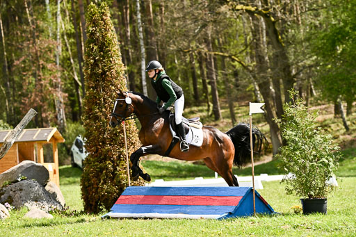 | 25042026 Geländereiter WB_231 