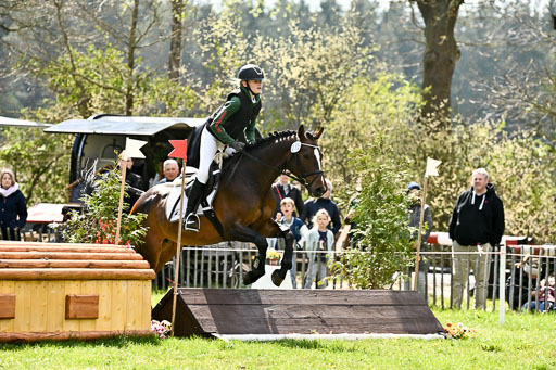  | 25042026 Geländereiter WB_241 