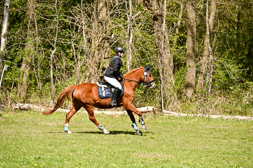  | 25042026 Geländereiter WB_250 