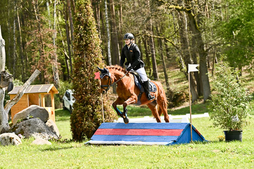  | 25042026 Geländereiter WB_254 
