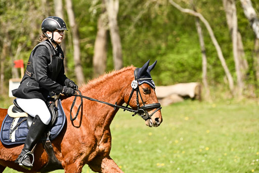  | 25042026 Geländereiter WB_259 