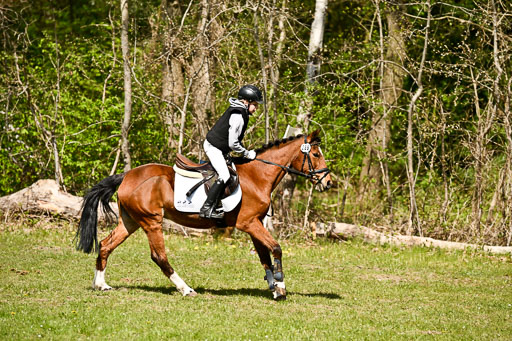  | 25042026 Geländereiter WB_268 