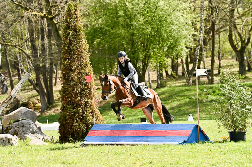  | 25042026 Geländereiter WB_274 