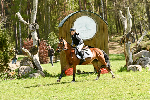  | 25042026 Geländereiter WB_276 
