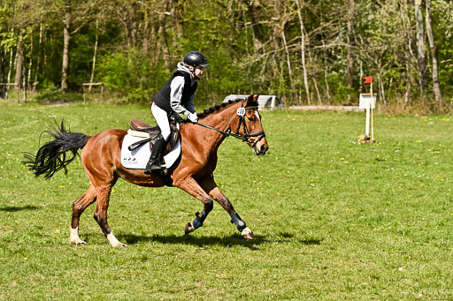  | 25042026 Geländereiter WB_282 