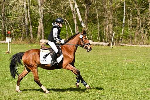  | 25042026 Geländereiter WB_284 