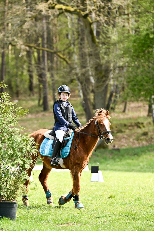  | 25042026 Geländereiter WB_292 