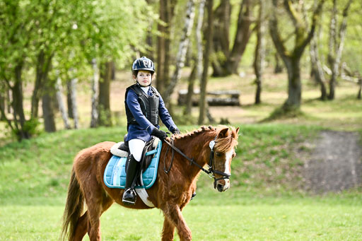  | 25042026 Geländereiter WB_294 