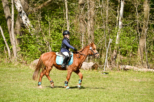  | 25042026 Geländereiter WB_296 