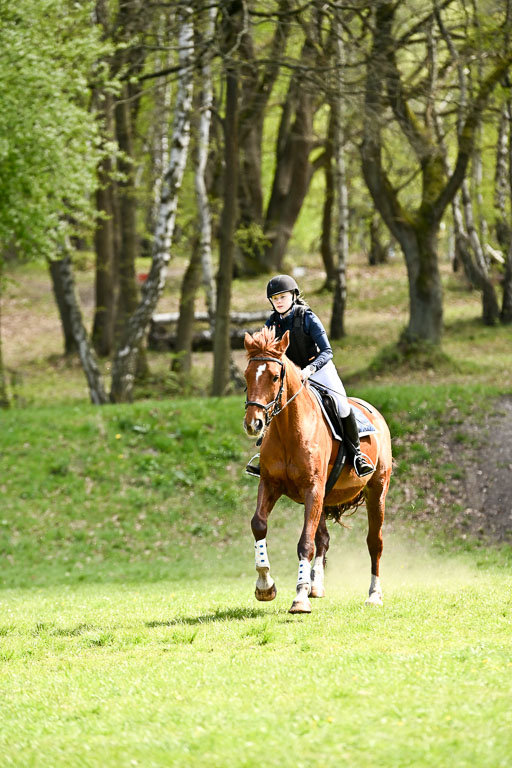  | 25042026 Geländereiter WB_305 