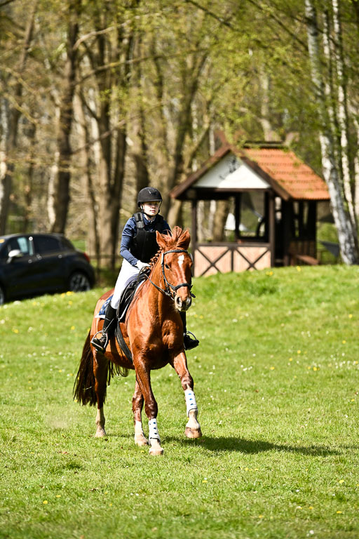  | 25042026 Geländereiter WB_310 