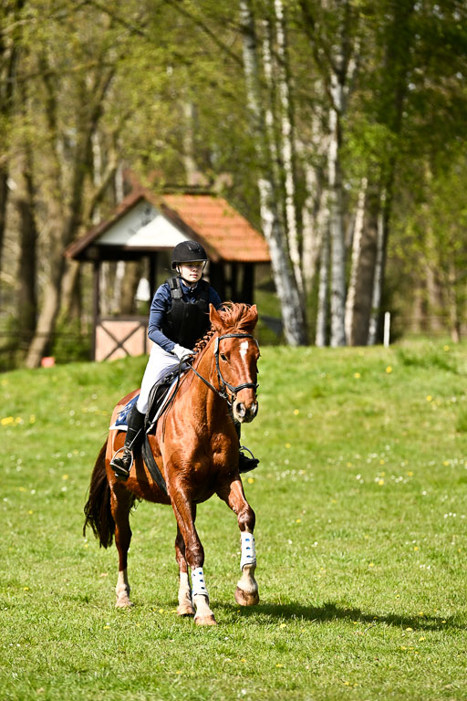  | 25042026 Geländereiter WB_311 