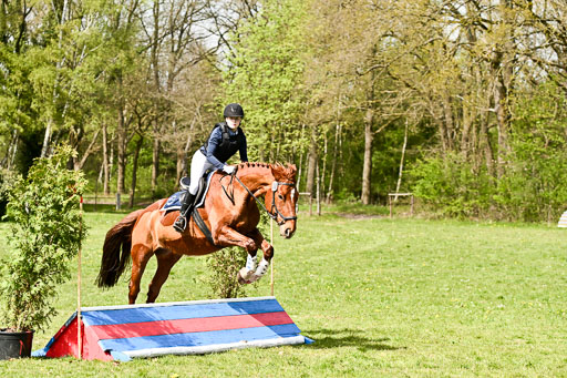  | 25042026 Geländereiter WB_313 