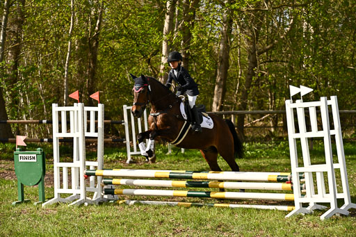  | Springreiter WB _009 