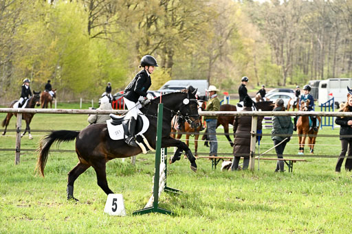  | Springreiter WB _023 