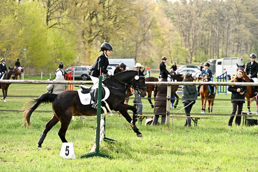  | Springreiter WB _024 