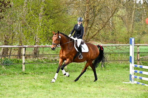 | Springreiter WB _031 