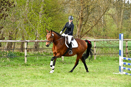  | Springreiter WB _032 