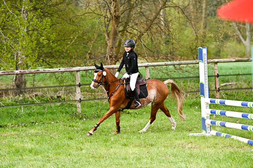  | Springreiter WB _033 