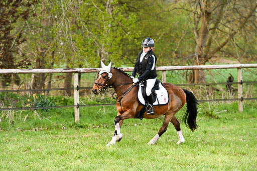  | Springreiter WB _034 