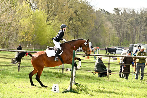  | Springreiter WB _053 