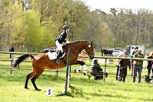  | Springreiter WB _054 