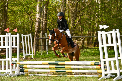  | Springreiter WB _063 