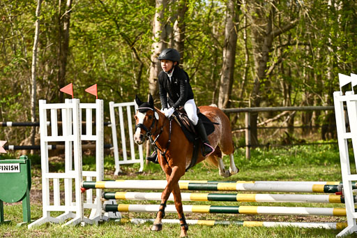  | Springreiter WB _064 