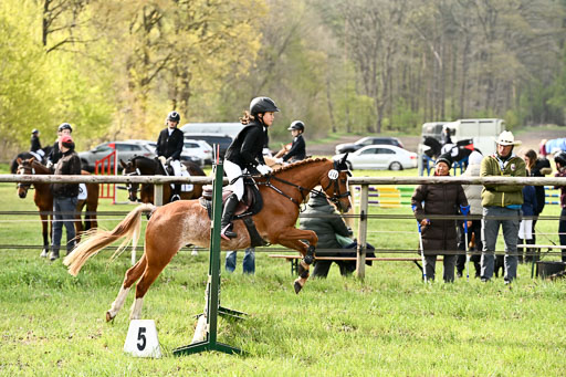  | Springreiter WB _066 