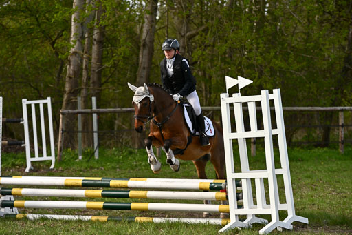  | Springreiter WB _074 