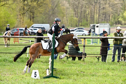  | Springreiter WB _076 