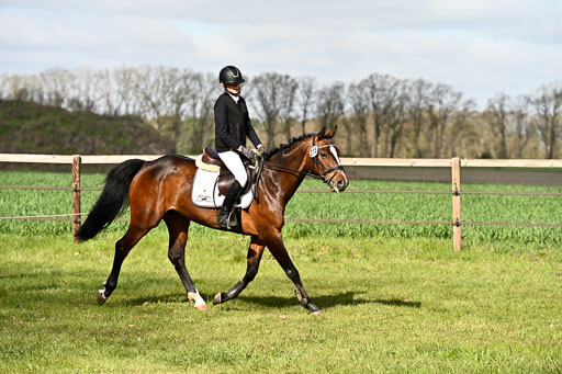  | Springreiter WB _080 