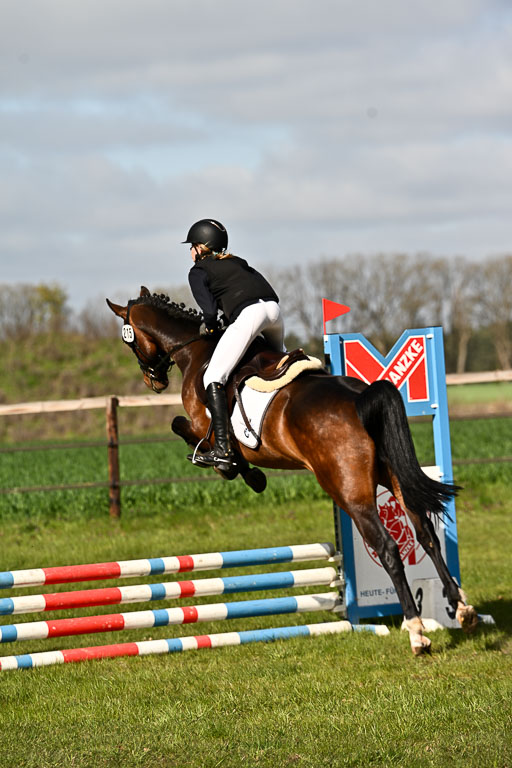  | Springreiter WB _088 