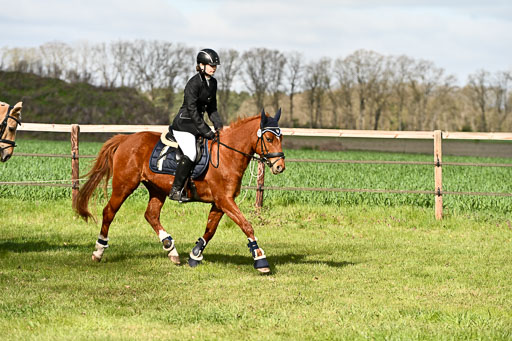  | Springreiter WB _090 