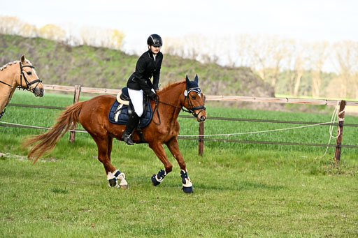  | Springreiter WB _092 