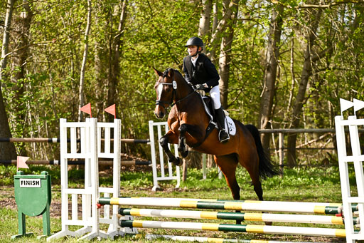  | Springreiter WB _093 