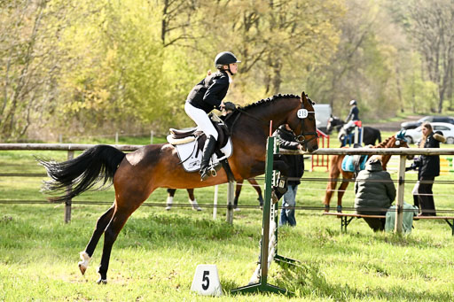 | Springreiter WB _096 