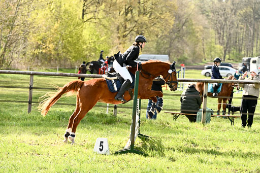  | Springreiter WB _106 