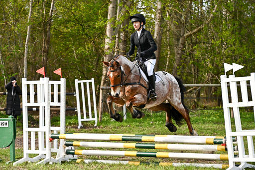  | Springreiter WB _138 