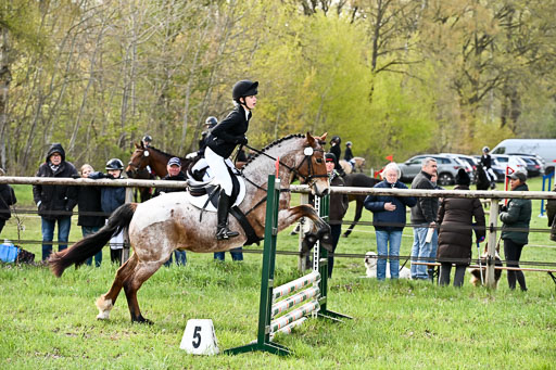  | Springreiter WB _139 
