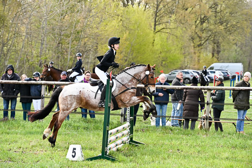  | Springreiter WB _140 