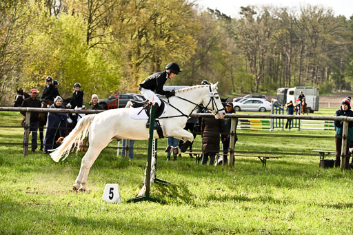  | Springreiter WB _145 