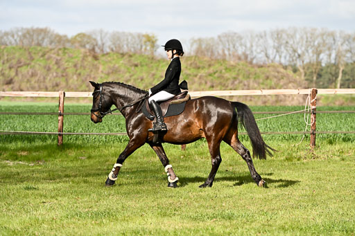  | Springreiter WB _149 
