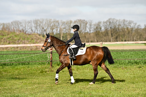  | Springreiter WB _150 